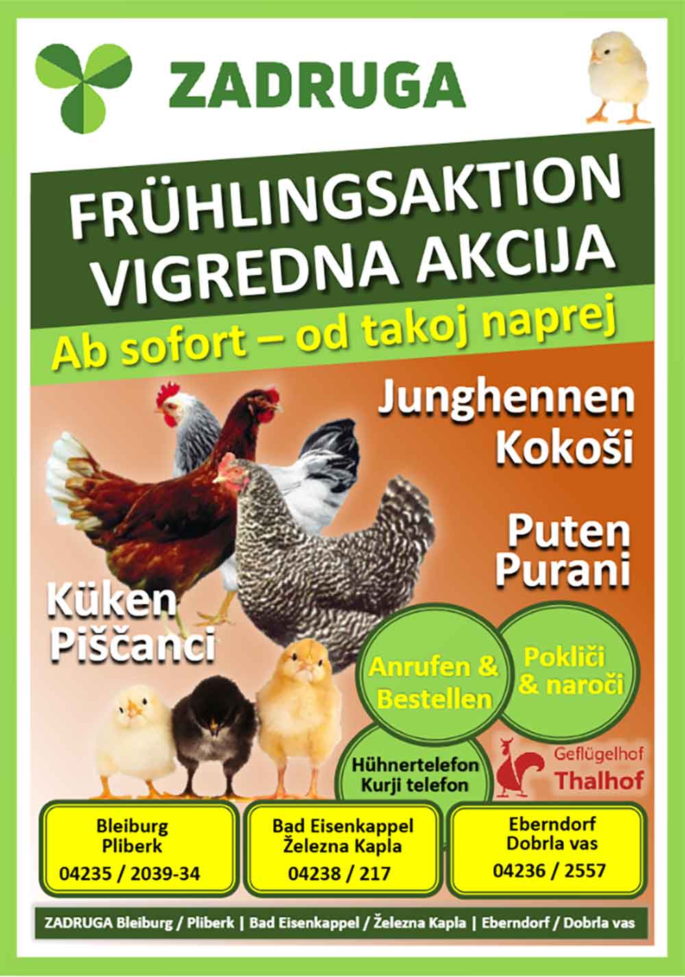 Zadruga novica